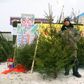 Ёлочные базары Красногорска в 2011 году! На базарах Красногорска можно купить живую ёлку, сосну или лапник!