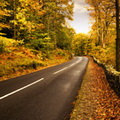 Осень – время повышенного внимания на дороге или "осенние опасности".