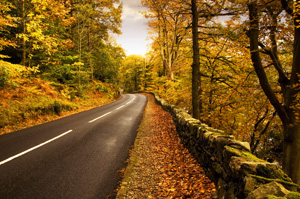 Осень – время повышенного внимания на дороге или осенние опасности.