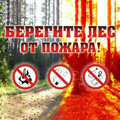 Ограничения на посещения лесов Подмосковья продлены до 4 августа 2014 года.
