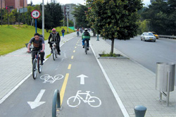 В администрации Красногорска запланированы работы по проектированию велосипедных и пешеходных дорожек.