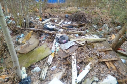 Госадмтехнадзор держит на контроле уборку мусора в поселке Истра Красногорского района.