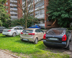 Витушева призвала муниципальные власти занять активную позицию в вопросах борьбы с несанкционированными парковками!