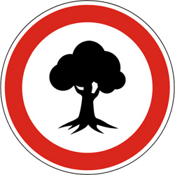 Опасность падения деревьев и веток в лесах и парках на территории Красногорска!