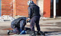 Полицейские УМВД России по г.о. Красногорск задержали подозреваемого в совершении грабежа.