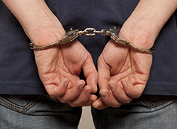 В Красногорске полицейские задержали подозреваемого в контрабанде анаболических стероидов!