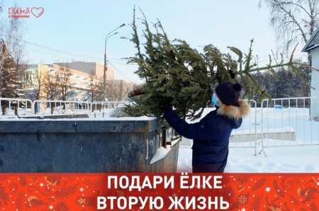 Экоакция «Подари вторую жизнь своей ёлке» стартовала в Красногорске!