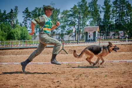«Найти и обезвредить!» - конкурс минно-розыскных собак в поселке Инженерный, городского округа Красногорск.