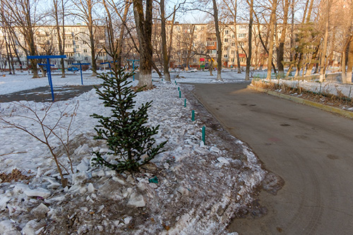 Куда сдать в 2022 году натуральную новогоднюю ель на территории городского округа Красногорск?