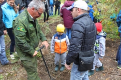 На лесовосстановление в Опалихе вышло более 300 человек.