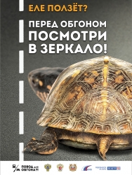 В ДТП на 63 км автодороги «Волоколамское шоссе» пострадали две пассажирки: 26 и 3 лет.