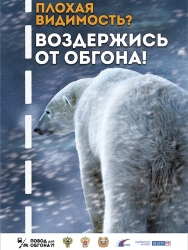 В ДТП на 63 км автодороги «Волоколамское шоссе» пострадали две пассажирки: 26 и 3 лет.