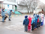 В Красногорске полицейские провели акцию «Моя профессия - кинолог».