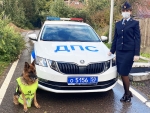 Инспектора ГИБДД Красногорска призвали владельцев домашних животных стать заметней на дороге!