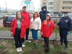 В Красногорске полицейские и общественники присоединились к акции «Лес Победы».