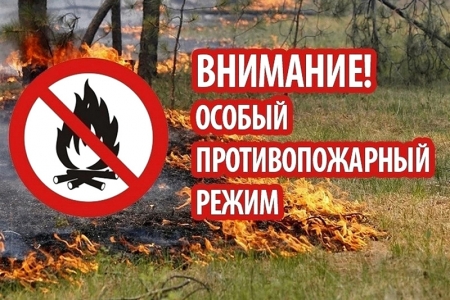 На всей территории Московской области введено ограничение пребывания граждан в лесах и въезда в них транспортных средств!