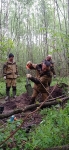 Красногорские поисковики продолжают исследовать место падения советского пикирующего бомбардировщика «Пе-2» в Рузском районе Московской области!