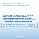 Красногорцы смогут проголосовать на предстоящих выборах дистанционно!