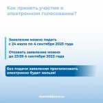 Красногорцы смогут проголосовать на предстоящих выборах дистанционно!