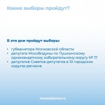 Красногорцы смогут проголосовать на предстоящих выборах дистанционно!