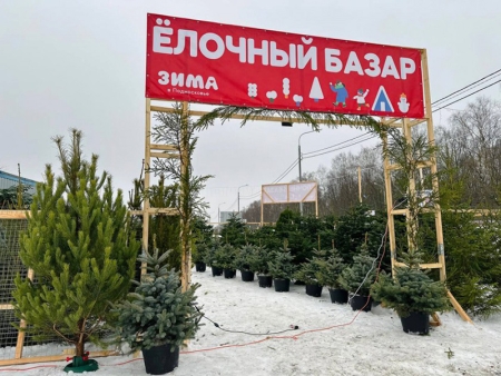 Елочные базары в Красногорске в декабре 2023 года!