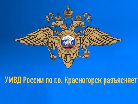 Какие существуют гарантии по социальной поддержке детей-сирот и детей, оставшихся без попечения родителей?